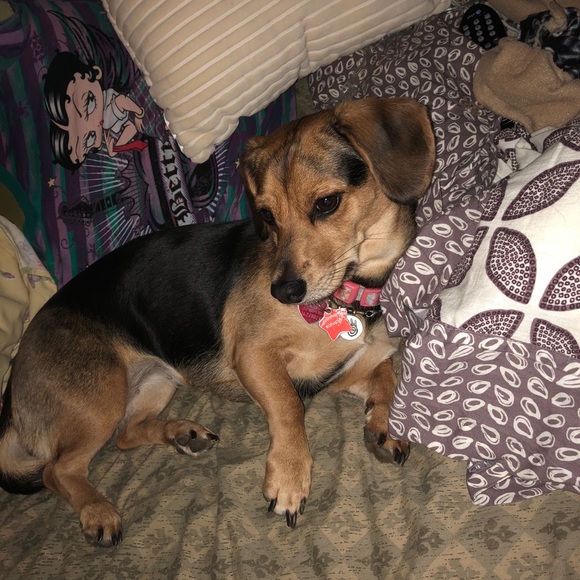 💗⭐️💗CHAR💗⭐️💗 - Picture 4 of 8